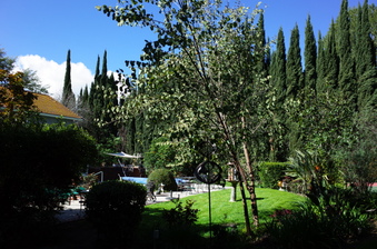 Enlarge photo 61