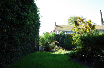 Enlarge photo 62