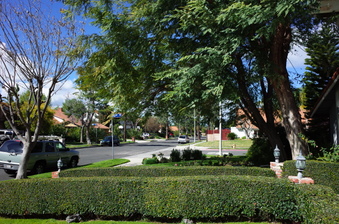 Enlarge photo 67