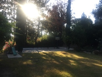 Enlarge photo 34
