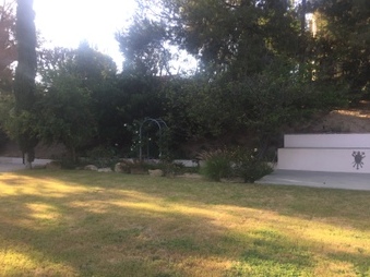 Enlarge photo 35