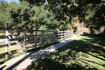 Enlarge photo 82