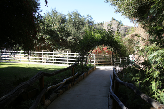 Enlarge photo 86