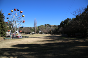 Enlarge photo 42