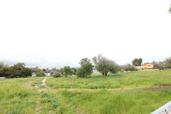 Vacant land