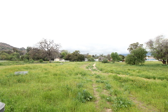 Enlarge photo 2
