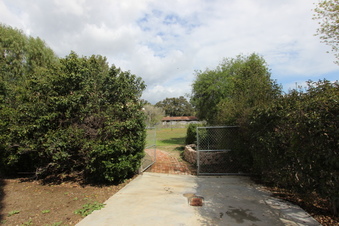 Enlarge photo 98