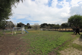 Enlarge photo 103