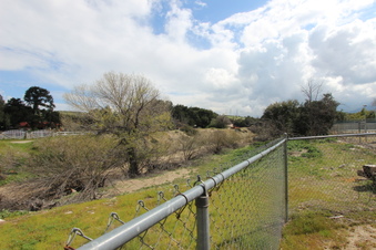 Enlarge photo 104