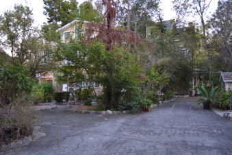 Enlarge photo 54