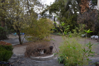 Enlarge photo 59