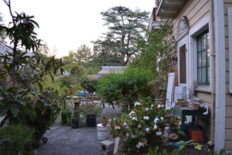 Enlarge photo 61