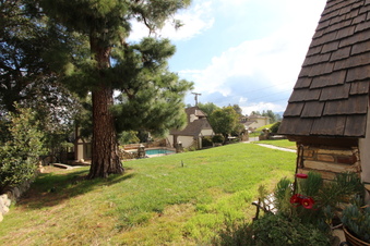 Enlarge photo 59