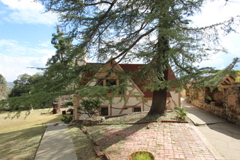 Enlarge photo 81