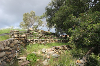 Enlarge photo 96