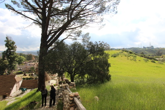 Enlarge photo 99
