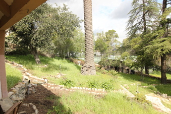 Enlarge photo 103