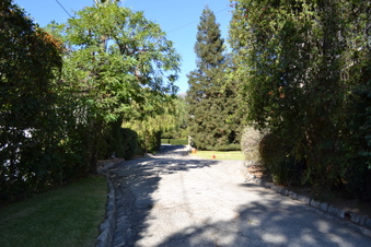 Enlarge photo 69