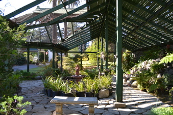 Enlarge photo 78