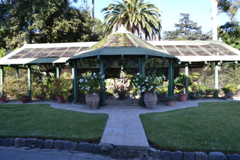 Enlarge photo 82