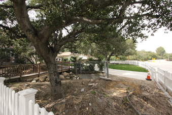 Enlarge photo 8