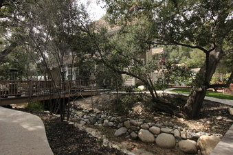 Enlarge photo 10