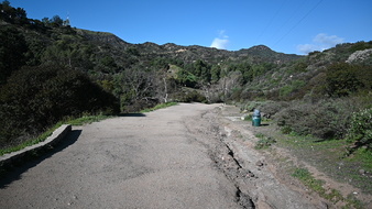 Enlarge photo 37