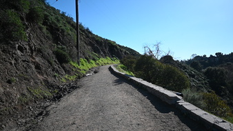 Enlarge photo 38