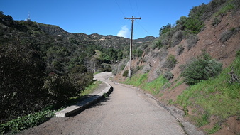 Enlarge photo 36