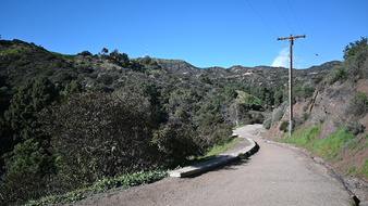 Enlarge photo 35