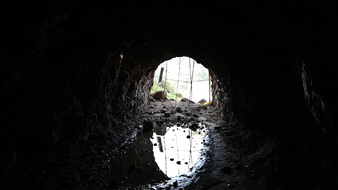 Enlarge photo 22