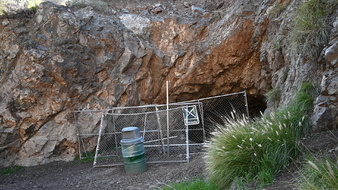 Enlarge photo 15