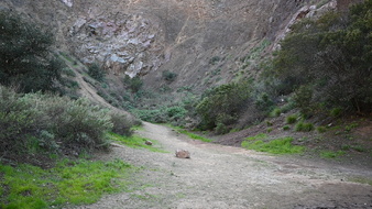 Enlarge photo 12