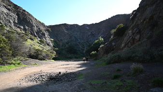 Enlarge photo 7