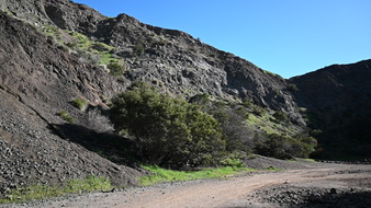 Enlarge photo 6
