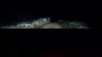 Enlarge MPEG4 8