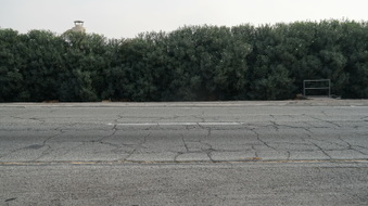 Enlarge photo 37