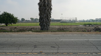Enlarge photo 49