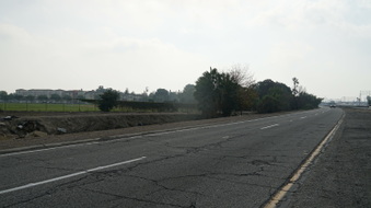 Enlarge photo 61