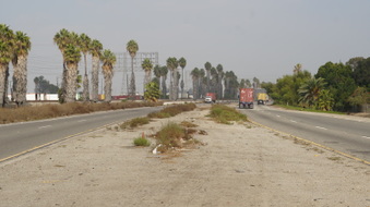 Enlarge photo 83