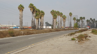 Enlarge photo 84