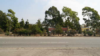 Enlarge photo 95