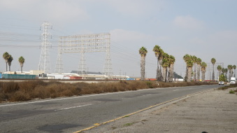 Enlarge photo 99
