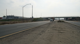 Enlarge photo 137