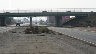 Enlarge photo 140