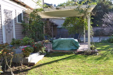 Enlarge photo 57