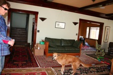 Enlarge photo 8