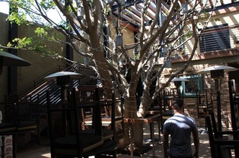 Enlarge photo 12