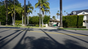 Enlarge photo 17