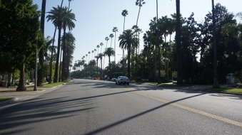 Enlarge photo 21